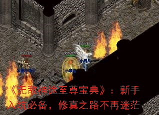 ���޵���;���𱦵䡷��������ӱر�������֮·������ã