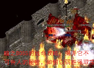��֮BOSS���������ԣ��ҿ������ɸ��˵����ܣ��������ʤǿȡ��