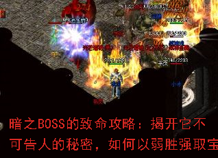 ��֮BOSS���������ԣ��ҿ������ɸ��˵����ܣ��������ʤǿȡ��