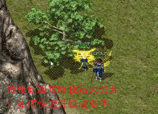 传奇新服攻略秘籍大公开:如何快速升级成高手 传奇新服攻略秘籍大公开:如何快速升级成高手