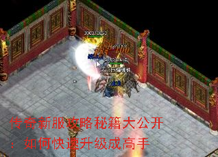 传奇新服攻略秘籍大公开:如何快速升级成高手 传奇新服攻略秘籍大公开:如何快速升级成高手
