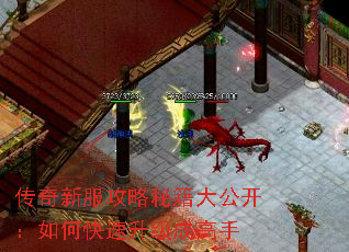 传奇新服攻略秘籍大公开:如何快速升级成高手 传奇新服攻略秘籍大公开:如何快速升级成高手