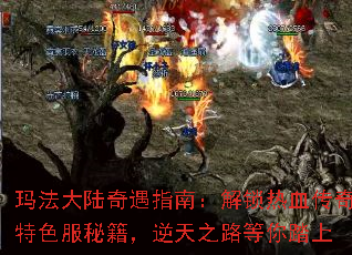 玛法大陆奇遇指南:解锁热血传奇特色服秘籍,逆天之路等你踏上 玛法大陆奇遇指南:解锁热血传奇特色服秘籍,逆天之路等你踏上