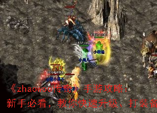 ��zhaowoo���桷���ι��ԣ����ֱؿ������������������װ��