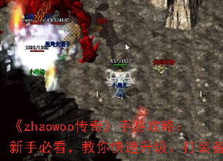 ��zhaowoo���桷���ι��ԣ����ֱؿ������������������װ��
