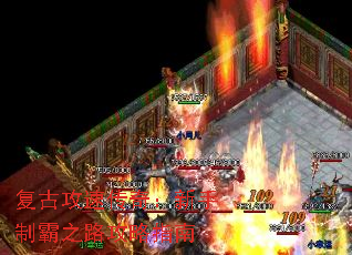 ���Ź��ٴ��棺�����ư�֮·����ָ��