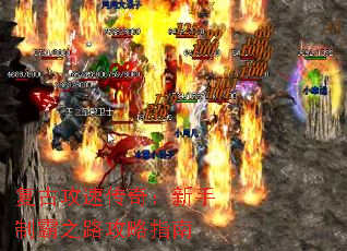 ���Ź��ٴ��棺�����ư�֮·����ָ��