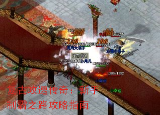 ���Ź��ٴ��棺�����ư�֮·����ָ��