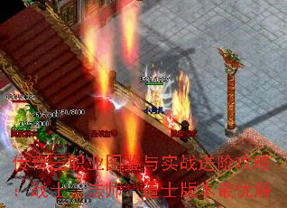 ������ְҵͼ����ʵս���׹��ԣ�սʿ����ʦ����ʿ�汾���Ž�