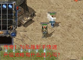 传奇1.76私服新手快速升级攻略有什么技巧吗? 传奇1.76私服新手快速升级攻略有什么技巧吗?