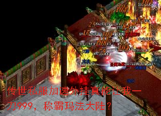 ����˽�����������������һ��999���ư��귨��½��