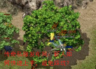 传奇私服发布网:新人如何快速上手,避免踩坑? 传奇私服发布网:新人如何快速上手,避免踩坑?