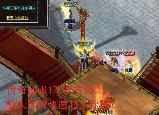 ����˽��176���Ű棬ɢ����ο����𲽳ưԣ�