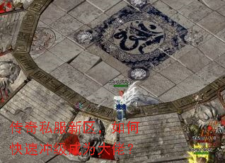 传奇私服新区,如何快速冲级成为大佬? 传奇私服新区,如何快速冲级成为大佬?