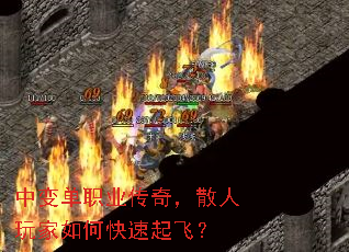 �б䵥ְҵ���棬ɢ�������ο�����ɣ�