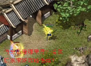 ����˽������Ѱ���ǻ������SF����ָ�ϣ�