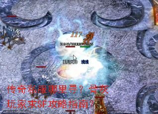 ����˽������Ѱ���ǻ������SF����ָ�ϣ�