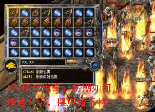 176��Ʒ���棺������ο����������������ִ壿
