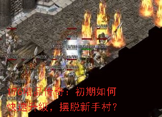 176��Ʒ���棺������ο����������������ִ壿