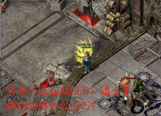 �����������ĺ�����ʿ����BOSS��ʲô���ɣ�