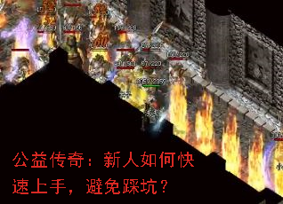 ���洫�棺������ο������֣�����ȿӣ�