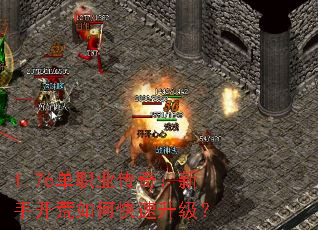 1.76��ְҵ���棺���ֿ�����ο���������