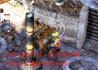 ����˽�����������ִ���ο��ٷ��������ڻ����ˣ�