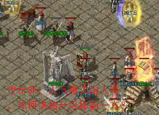 传奇SF:人气服人山人海,如何快速升级称霸一方? 传奇SF:人气服人山人海,如何快速升级称霸一方?