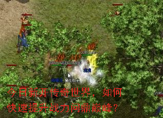 �����¿��������磬��ο�������ս���ʶ��۷壿
