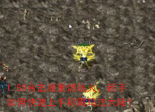 1.80合击服重燃战火,新手如何快速上手称霸玛法大陆? 1.80合击服重燃战火,新手如何快速上手称霸玛法大陆?