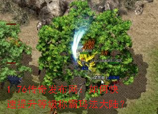 1.76���淢��������ο��������ȼ��ư��귨��½��