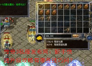 传奇3私服发布网:新手快速升级攻略有哪些技巧问? 传奇3私服发布网:新手快速升级攻略有哪些技巧问?