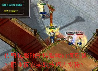 传奇私服PK外挂猖獗如何反制?职业玩家实战技巧大揭秘? 传奇私服PK外挂猖獗如何反制?职业玩家实战技巧大揭秘?
