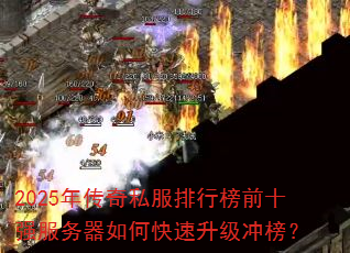 2025�괫��˽�����а�ǰʮǿ��������ο����������