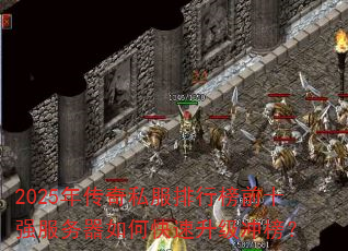 2025�괫��˽�����а�ǰʮǿ��������ο����������