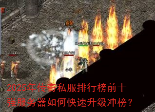 2025�괫��˽�����а�ǰʮǿ��������ο����������