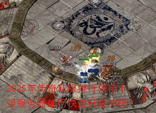 2025�괫��˽�����а�ǰʮǿ��������ο����������