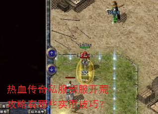 热血传奇私服新服开荒攻略有哪些实用技巧? 热血传奇私服新服开荒攻略有哪些实用技巧?