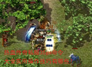 热血传奇私服35gm命令大全实用操作技巧有哪些? 热血传奇私服35gm命令大全实用操作技巧有哪些?