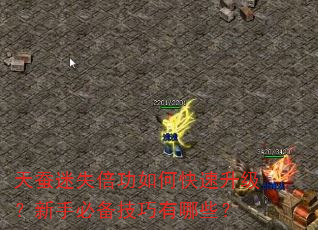 天蚕迷失倍功如何快速升级?新手必备技巧有哪些? 天蚕迷失倍功如何快速升级?新手必备技巧有哪些?