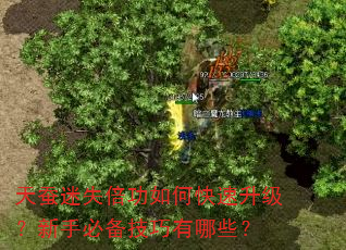 天蚕迷失倍功如何快速升级?新手必备技巧有哪些? 天蚕迷失倍功如何快速升级?新手必备技巧有哪些?