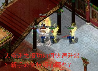 天蚕迷失倍功如何快速升级?新手必备技巧有哪些? 天蚕迷失倍功如何快速升级?新手必备技巧有哪些?