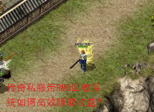 ����˽����RMB����ϵͳ��θ�Ч׬ȡ���棿