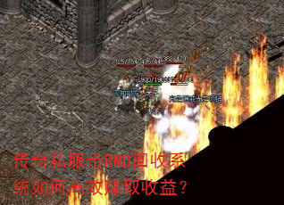 ����˽����RMB����ϵͳ��θ�Ч׬ȡ���棿