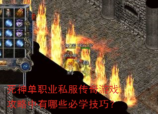 死神单职业私服传奇游戏攻略中有哪些必学技巧? 死神单职业私服传奇游戏攻略中有哪些必学技巧?