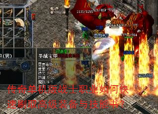 ���浥����սʿְҵ��ο���ˢȡ�߼�װ���뼼���飿