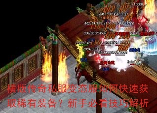��洫��˽����̬����ο��ٻ�ȡϡ��װ�������ֱؿ����ɽ���