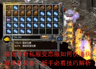��洫��˽����̬����ο��ٻ�ȡϡ��װ�������ֱؿ����ɽ���