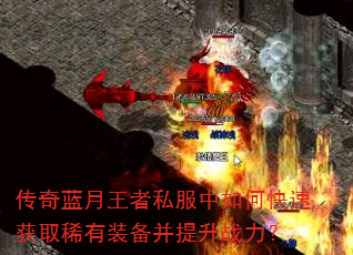 ������������˽������ο��ٻ�ȡϡ��װ��������ս����