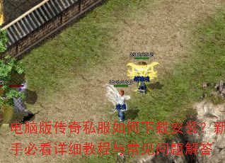 ���԰洫��˽��������ذ�װ�����ֱؿ���ϸ�̳��볣��������
